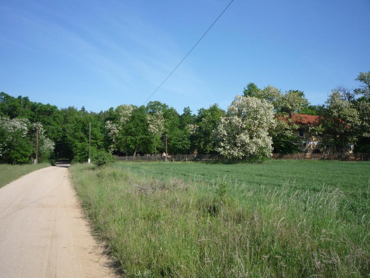 Erdei Vendégház Bogot Exterior foto